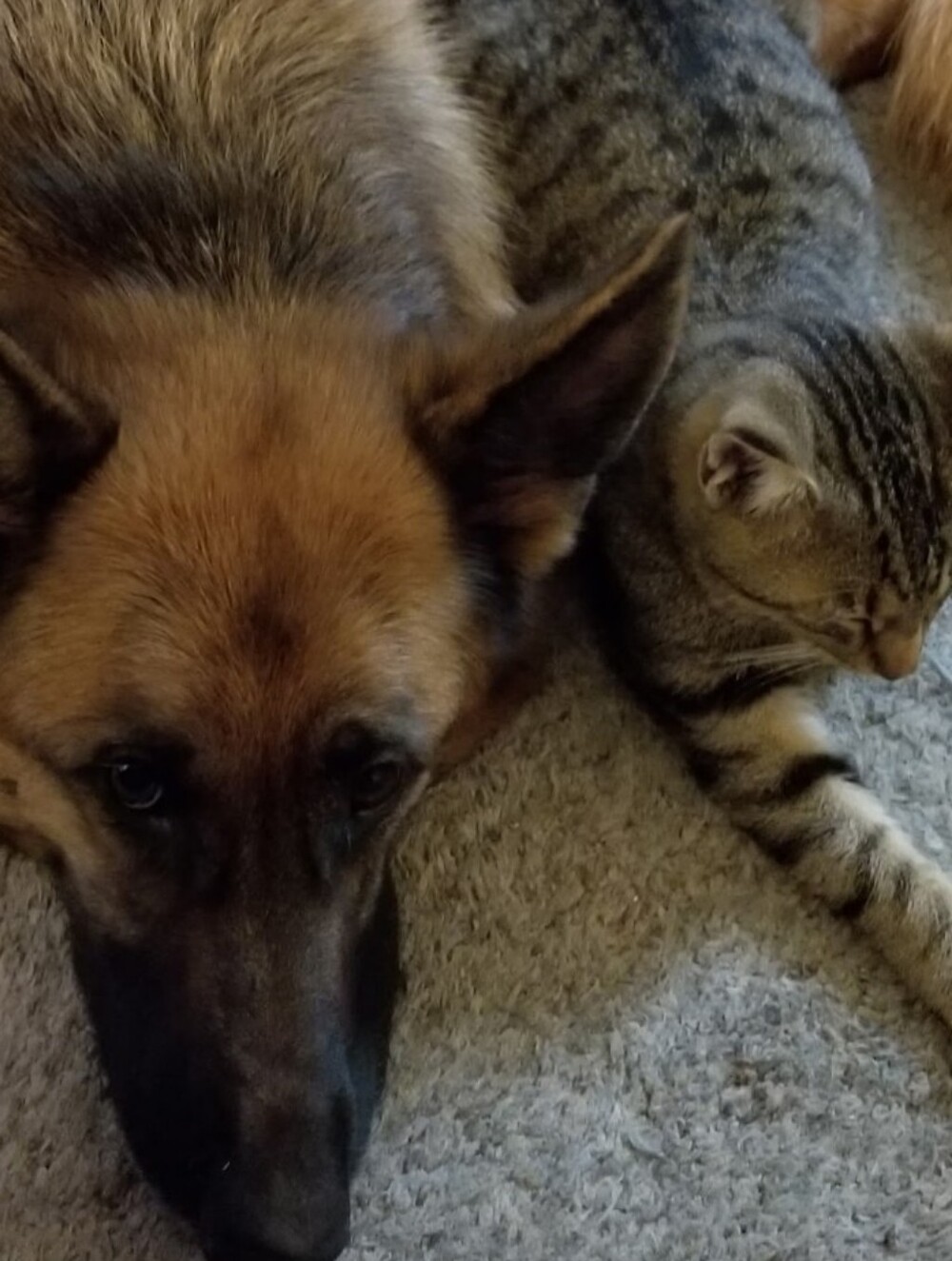 Share here! ❤ chat here! - Picture 7 of 8